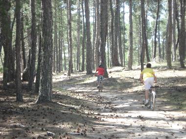 Las rutas en bici ....Son un mundo abierto al disfrute. 