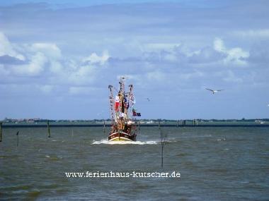 Casa de vacaciones en Holtgast (Nordsee-Festland / Ostfriesland)Casa de vacaciones