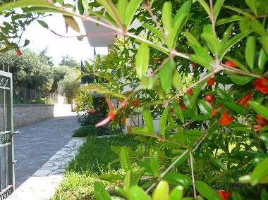 Apartamento de vacaciones en Sivota, thesprotias (Thesprotia)Casa de vacaciones