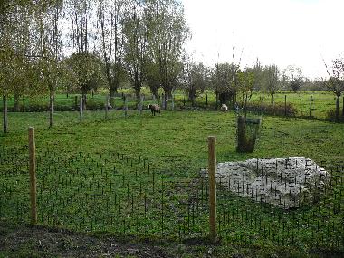 Casa de vacaciones en Brugge/Oedelem (Flandes)Casa de vacaciones