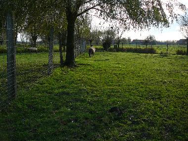 Casa de vacaciones en Brugge/Oedelem (Flandes)Casa de vacaciones