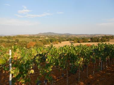 Casa de vacaciones en Scansano (Grosseto)Casa de vacaciones