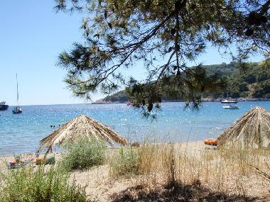 Apartamento de vacaciones en Saplunara (Dubrovacko-Neretvanska)Casa de vacaciones