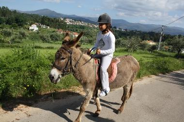 Casa de vacaciones en Coja (Serra da Estrela)Casa de vacaciones