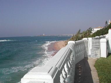 Jardin al borde del mar