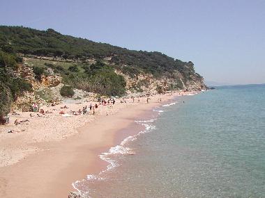 Playa nudista de Ca�os de Meca a 100 metros 