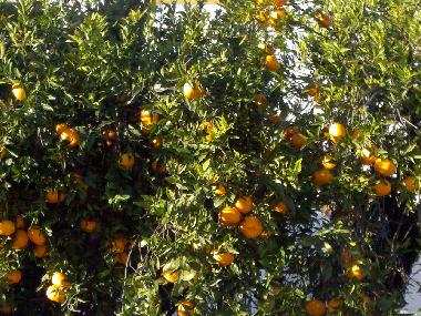 Casa de vacaciones en Evora (Alto Alentejo)Casa de vacaciones