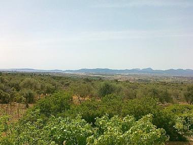 Villa en Sant Jordi (Mallorca)Casa de vacaciones