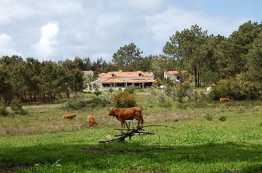 Casa de vacaciones en Rogil (Algarve)Casa de vacaciones
