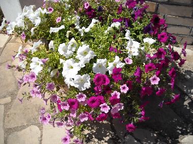 Apartamento de vacaciones en Castellana Grotte (Bari)Casa de vacaciones