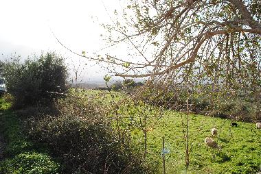 Casa de vacaciones en Dramia (Chania)Casa de vacaciones