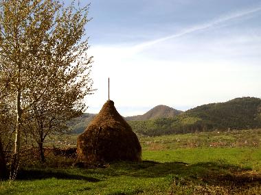 Apartamento de vacaciones en Vale (Sibiu)Casa de vacaciones