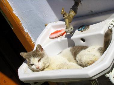 Apartamento de vacaciones en Vale (Sibiu)Casa de vacaciones