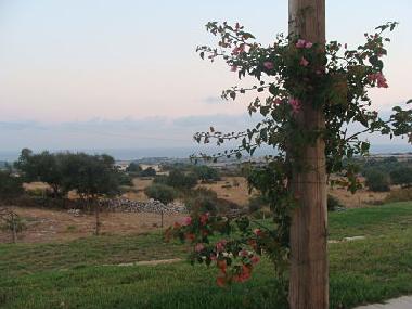 Apartamento de vacaciones en Marina di Ragusa (Ragusa)Casa de vacaciones
