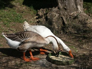 Casa de vacaciones en Peratallada (Girona)Casa de vacaciones
