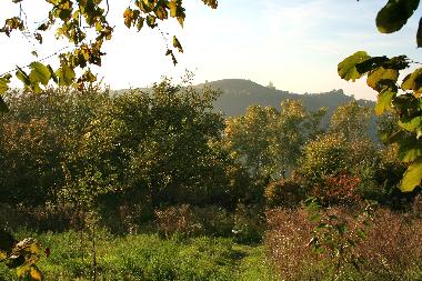 Apartamento de vacaciones en Bonvicino (Cuneo)Casa de vacaciones