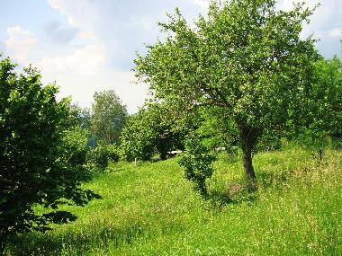 Apartamento de vacaciones en Bonvicino (Cuneo)Casa de vacaciones