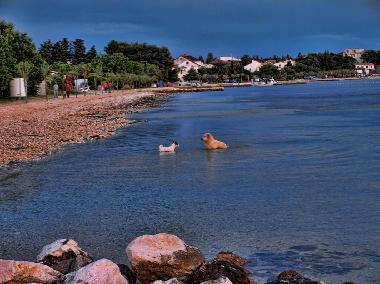 Casa de vacaciones en Biograd na moru (Zadarska)Casa de vacaciones
