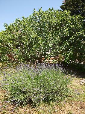 Casa de vacaciones en Biograd na moru (Zadarska)Casa de vacaciones