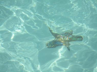 Casa de vacaciones en Torre San Giovanni (Lecce)Casa de vacaciones