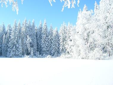Chalet en Marianske Lazne (Karlovarsky Kraj)Casa de vacaciones