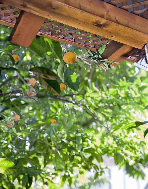 Apartamento de vacaciones en Bat Yam (Tel Aviv)Casa de vacaciones