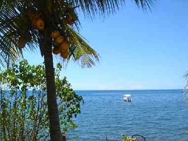 Villa en Lovina / Dencarik (Bali)Casa de vacaciones