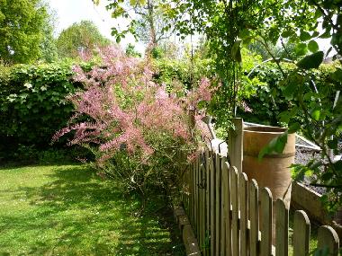 Casa de vacaciones en Esquelbecq (Nord)Casa de vacaciones