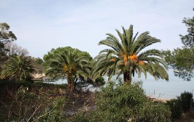 Villa en Vourvourou (Chalkidiki)Casa de vacaciones