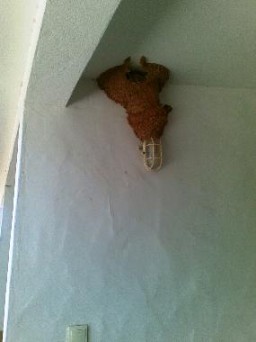 Apartamento de vacaciones en Lagos (Algarve)Casa de vacaciones