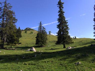 Casa de vacaciones en Ntsch (Oberkrnten)Casa de vacaciones