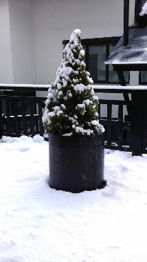 Apartamento de vacaciones en Sierra Nevada (Granada)Casa de vacaciones