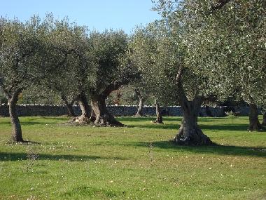 Casa de vacaciones en Castellana Grotte (Bari)Casa de vacaciones