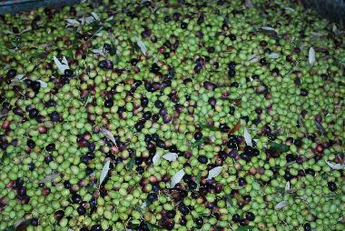 Villa en Sami (Kefallinia)Casa de vacaciones