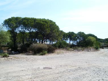 Apartamento de vacaciones en loc iscra  E  Voes (Nuoro)Casa de vacaciones