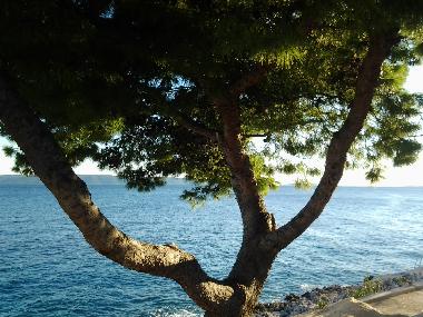 Apartamento de vacaciones en Okrug Gornji (Splitsko-Dalmatinska)Casa de vacaciones