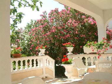 Apartamento de vacaciones en Palit (Primorsko-Goranska)Casa de vacaciones