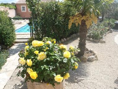 Casa de vacaciones en BEDOIN (Vaucluse)Casa de vacaciones