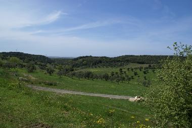 Apartamento de vacaciones en bagno a ripoli (Firenze)Casa de vacaciones