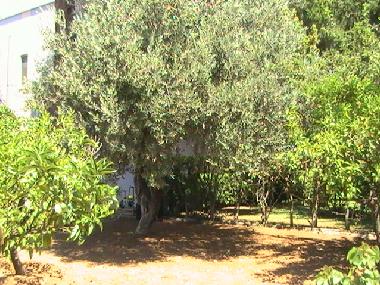 Villa en Policoro (Matera)Casa de vacaciones