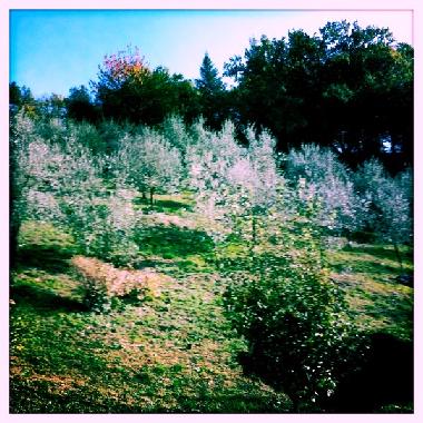 Villa en Terni (Terni)Casa de vacaciones