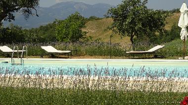 Apartamento de vacaciones en Cagli (Pesaro e Urbino)Casa de vacaciones