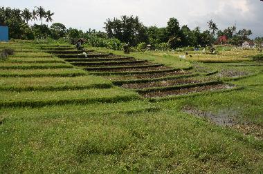 Villa en Kerobokan (Bali)Casa de vacaciones