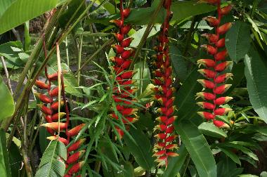 Villa en Kerobokan (Bali)Casa de vacaciones