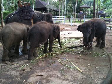 Villa en Kerobokan (Bali)Casa de vacaciones