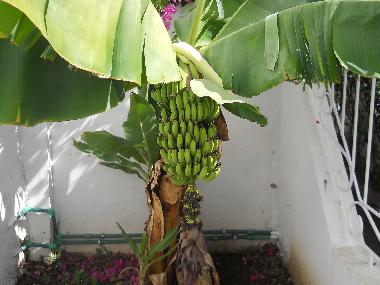 Villa en Tanger (Tanger)Casa de vacaciones