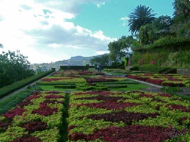 Apartamento de vacaciones en Cani�o (Madeira)Casa de vacaciones