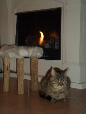 Casa de vacaciones en Halmstad (Halland)Casa de vacaciones