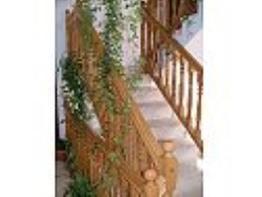 Apartamento de vacaciones en Orebic (Dubrovacko-Neretvanska)Casa de vacaciones