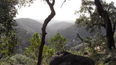 Casa de vacaciones en Monchique (Algarve)Casa de vacaciones